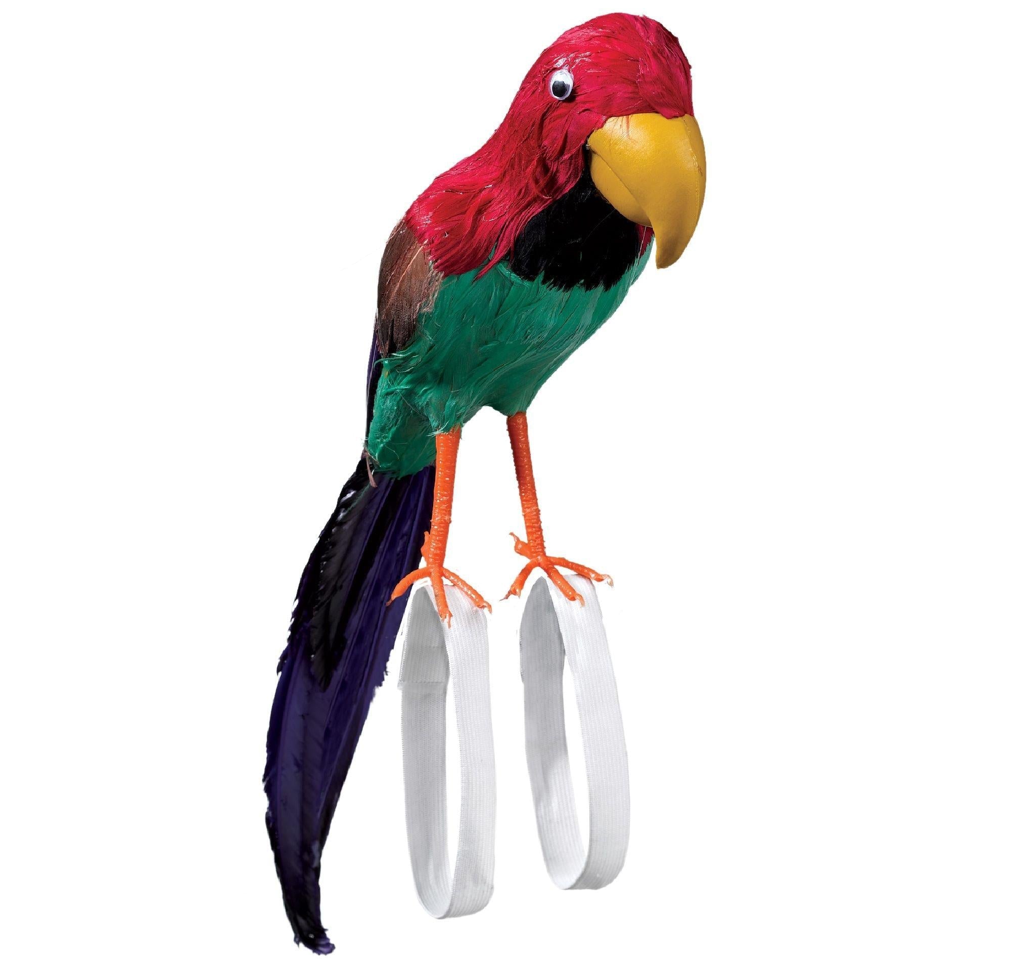 Pirate parrot costume prop