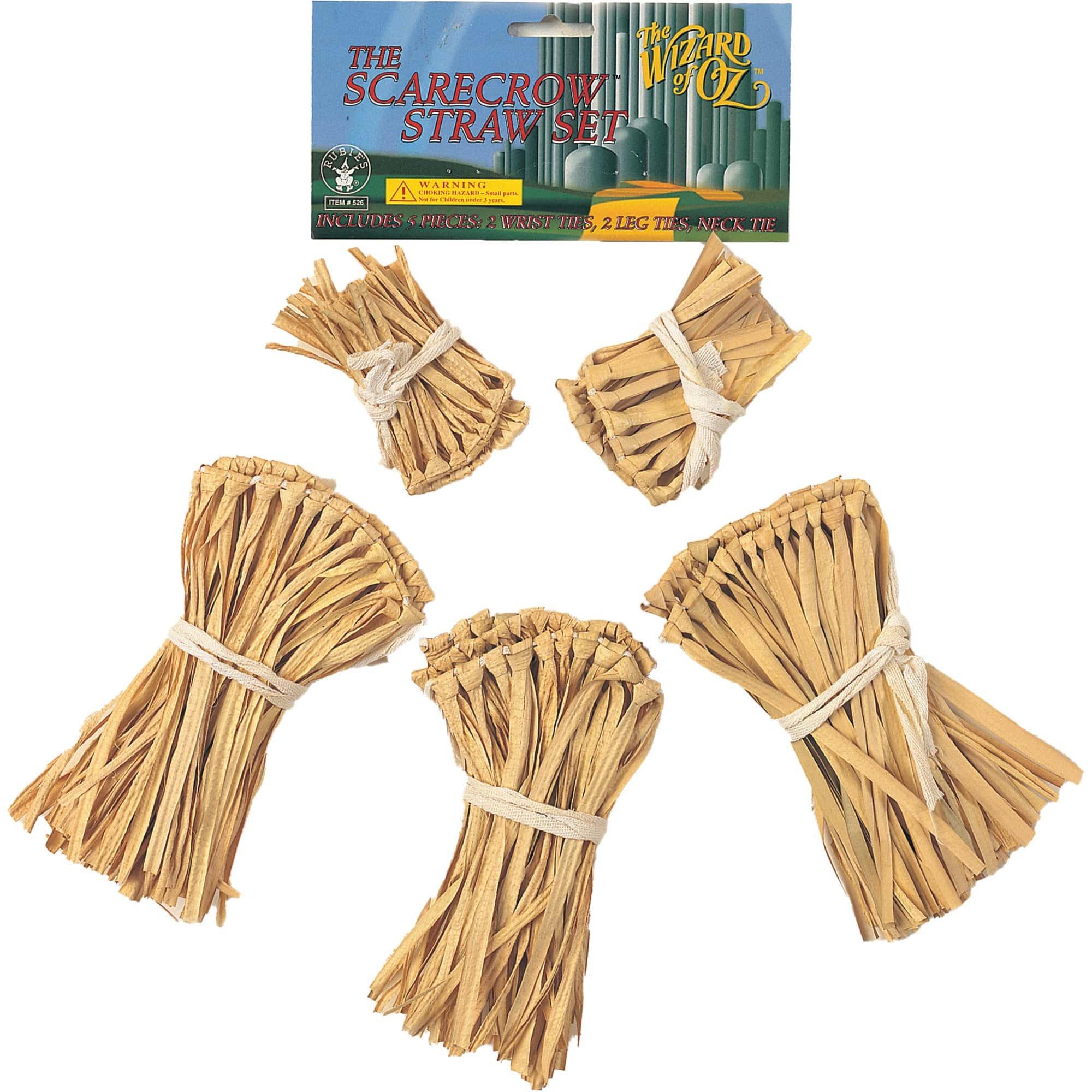 Wizard of Oz Scarecrow straw costume accessory kit
