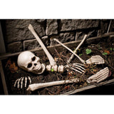 10-Piece Bag of Bones - Halloween decor at Party Pig Austin