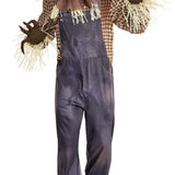 Men's Sinister Scarecrow Costume