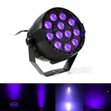 UV Light LED Hanging - Halloween decor at Party Pig Austin