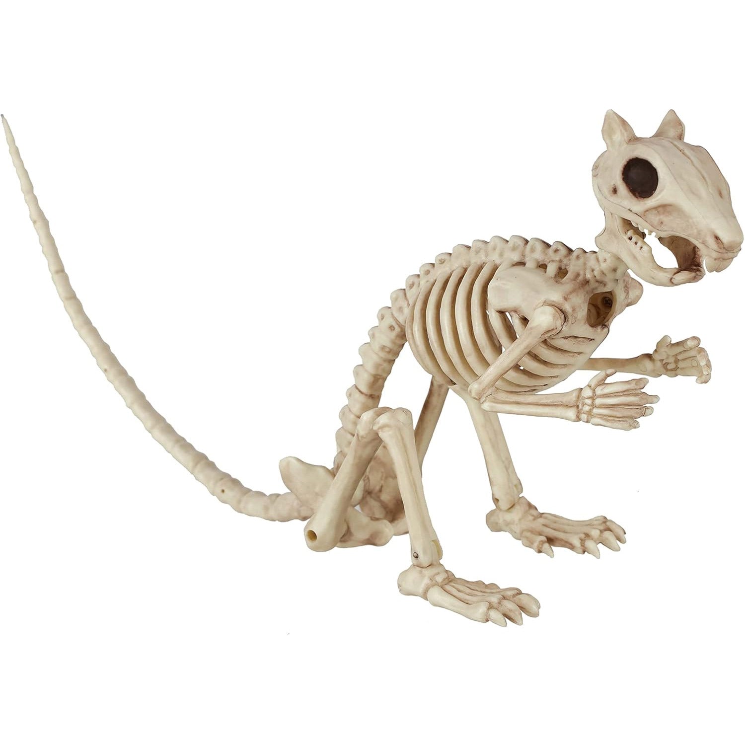 5.5 in. Skeleton Squirrel - Halloween decor at Party Pig Austin