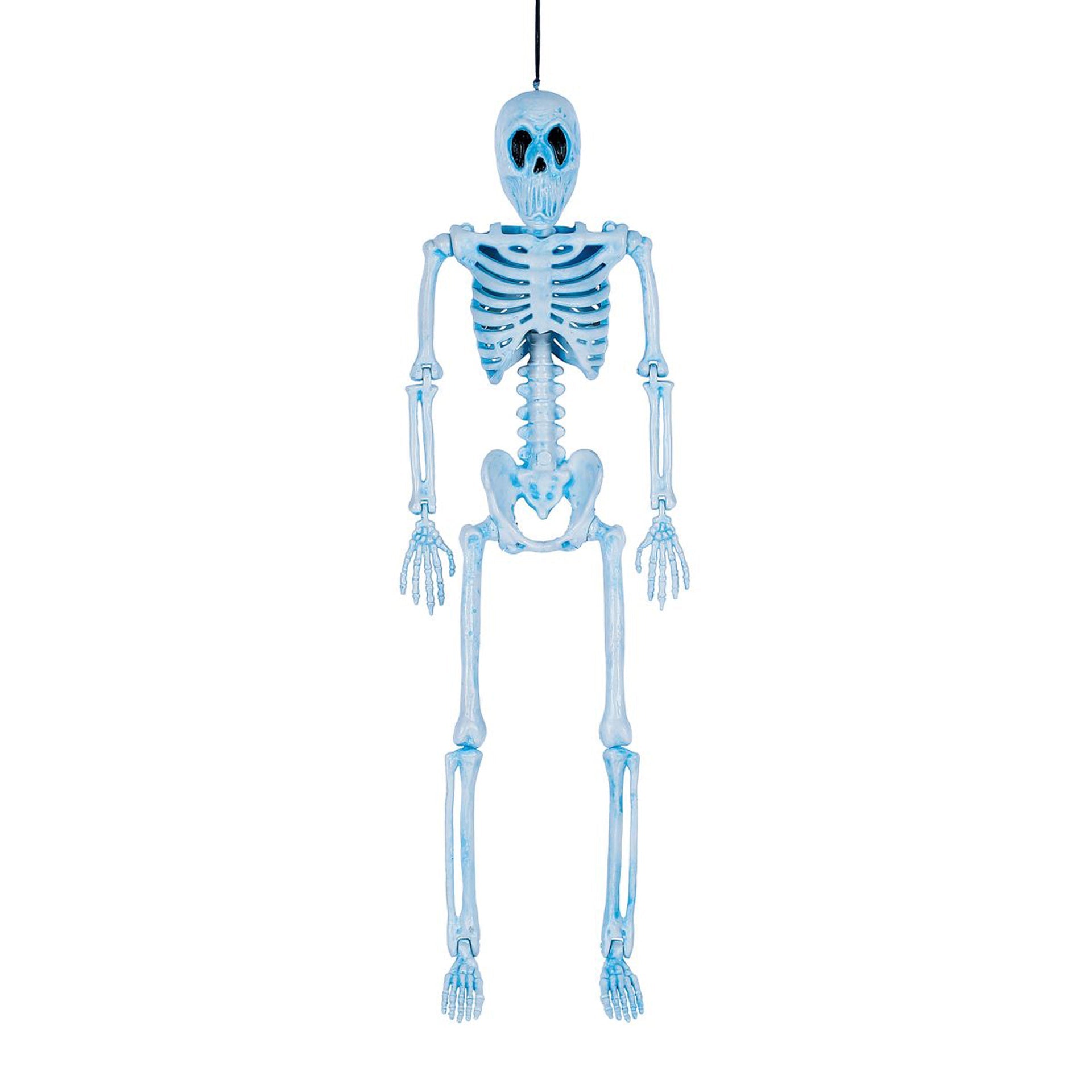 16 in. Wicked Skeleton - Halloween decor at Party Pig Austin