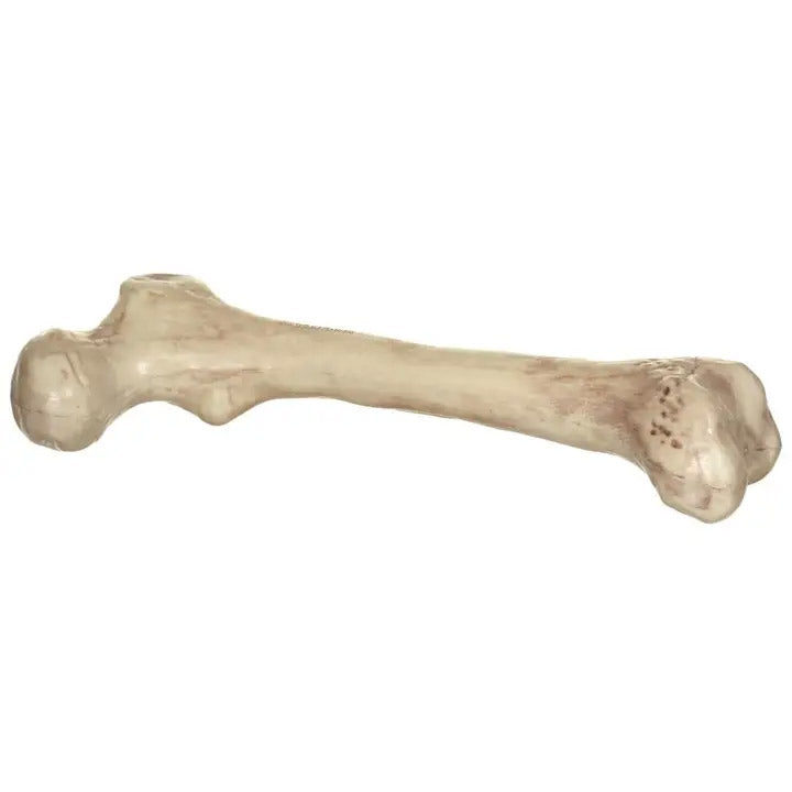 9 in. Skeleton Bone - Halloween decor at Party Pig Austin