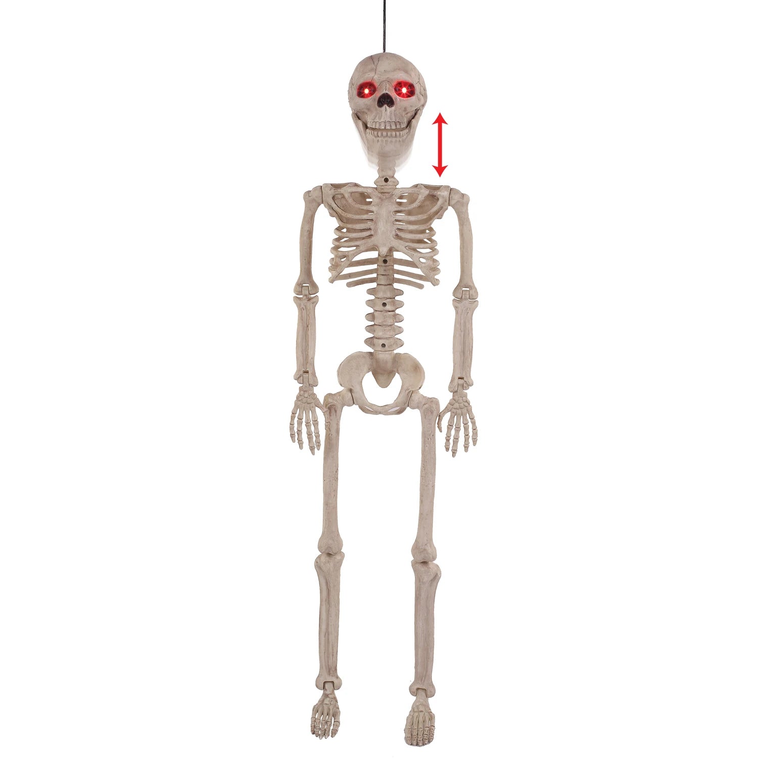 36 in. Posable Skeleton Animated - Halloween decor at Party Pig Austin
