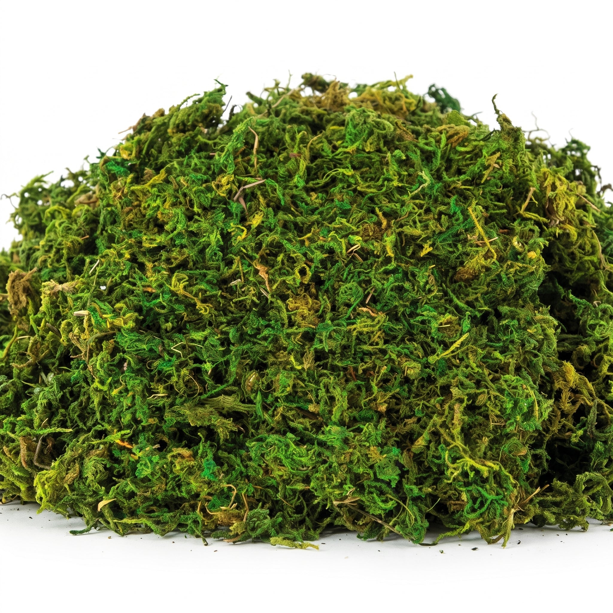 4.2 oz. Natural Decorative Moss - Halloween decor at Party Pig Austin
