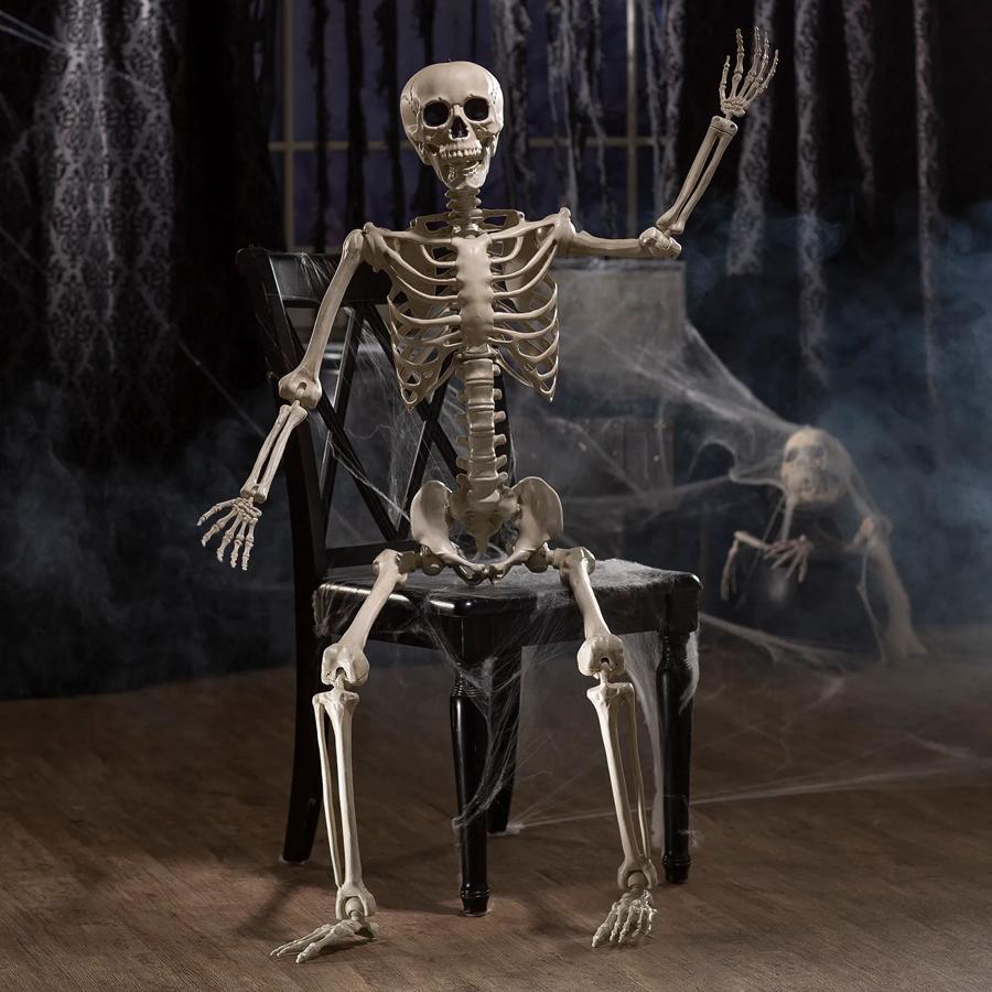 5 ft. Life-Size Poseable Skeleton - Halloween decor at Party Pig Austin